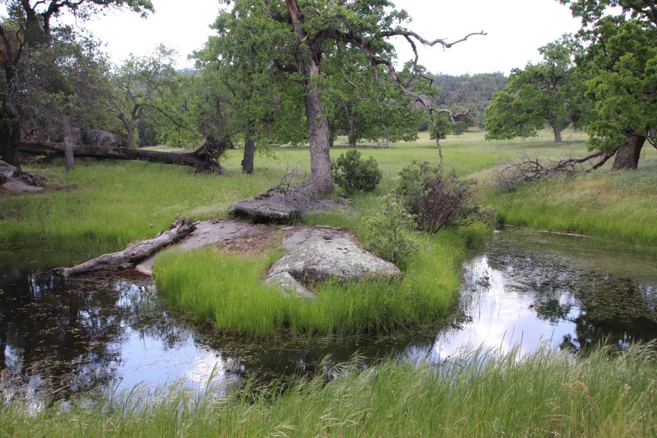 Casa Mariposa - A Foothill Retreat Near Yosemite Villa Eksteriør bilde